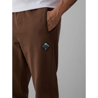 3. Men's jogger sweatpants 4F 4FRAW26TTROM2092-81S