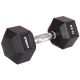 HEX RUBBER Dumbbell 10 KG ENERO FIT