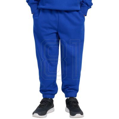 2. Trousers 4F CAS M1245 Jr 4FJWAW25TTROM1245 36S