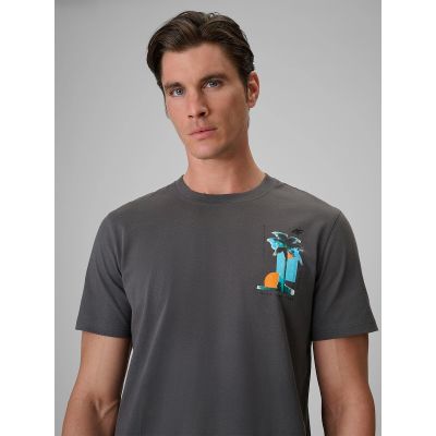 4. Men's regular printed T-shirt 4F 4FRSS26TTSHM4301-22S