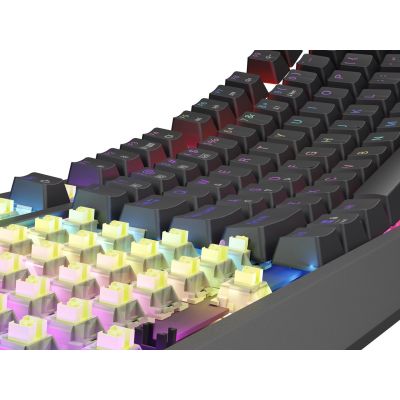 13. GENESIS Thor 230 TKL Gaming Keyboard USB + RF Wireless + Bluetooth QWERTY US English Black