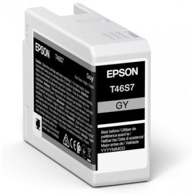 2. Epson Ink Gray (C13T46S700)