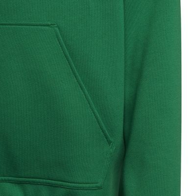 4. Adidas Entrada 22 Hoody Y Jr sweatshirt HI2143