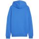 6. Puma Team Goal Casuals Hoody M 658618 02