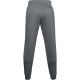2. Under Armor Rival Fleece 3Logo Jogger Pants M 1357 131 012