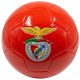 3. FOOTBALL SL BENFICA R.5