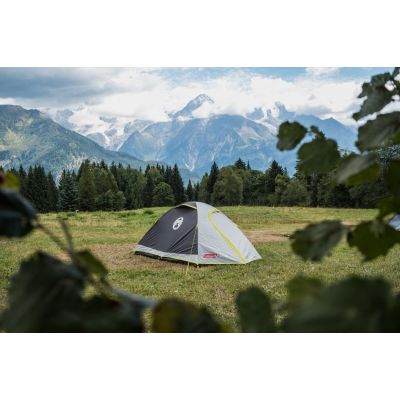 8. Coleman Darwin 2-Person Tent, Green and Gray Igloo