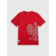 7. Men's cotton fan T-shirt 4F 4FRSS26TTSHM4200-62S