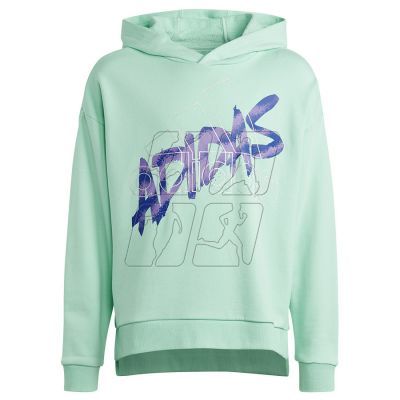 Adidas D Hoody Jr HR5825 sweatshirt