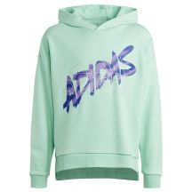 Adidas D Hoody Jr HR5825 sweatshirt