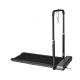 13. Kingsmith WalkingPad TRR1F R1 Sports Treadmill