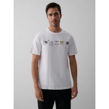 Men's regular printed T-shirt 4F 4FKAW26TTSHM4476-10S