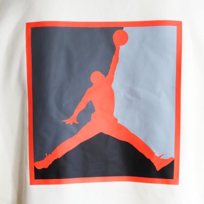 7. Air Jordan Brooklyn Fleece Graphic Pullover Hoodie - HV0544-110
