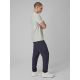 4. Men's quick-drying training pants 4F 4FRSS26TFTRM1411-23S