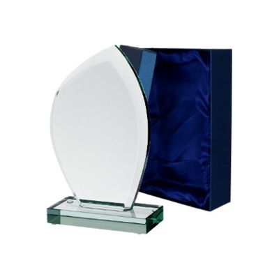 2. Glass trophy with case