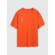 4. Men's oversize printed T-shirt 4F 4FRSS25TTSHM2652-70S