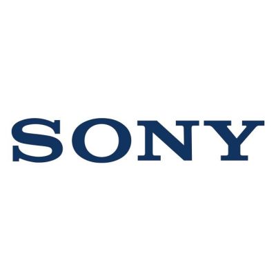 Sony ECM-W2BT Microphone