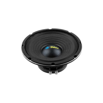Dibeisi 10-inch speaker model DBS-PS1005-8