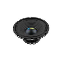 Dibeisi 10-inch speaker model DBS-PS1005-8