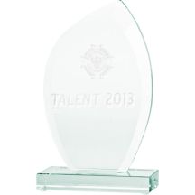 3D engraved glass trophy with case