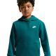 3. Nike Sportswear Club Fleece Kids' Sweatshirt Green FD3000 372