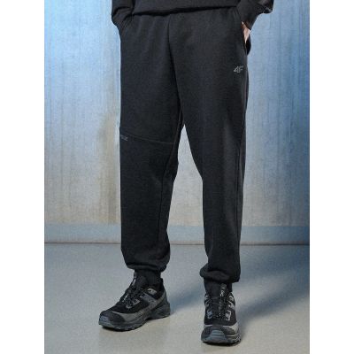 2. Men's jogger sweatpants 4F 4FRSS26TTROM1861-20S