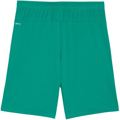 4. Puma Team Goal men's shorts green 705752 05