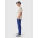 6. Men's casual trousers 4F 4FRAW24TTROM1349-31S