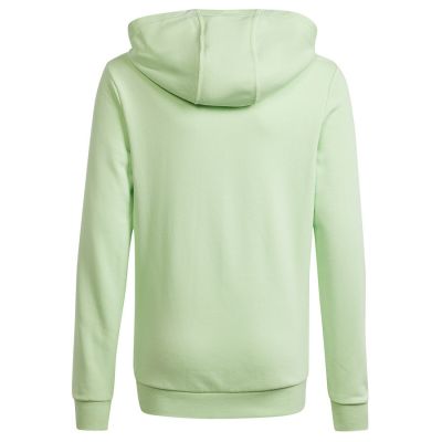 5. Adidas Big Logo Hoodie Jr IS2591 sweatshirt
