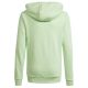5. Adidas Big Logo Hoodie Jr IS2591 sweatshirt