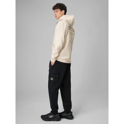 4. Men's cargo sweatpants 4F 4FRSS26TTROM1916-20S