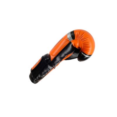 9. MASTERS RPU-FT 011123-0210 Boxing Gloves