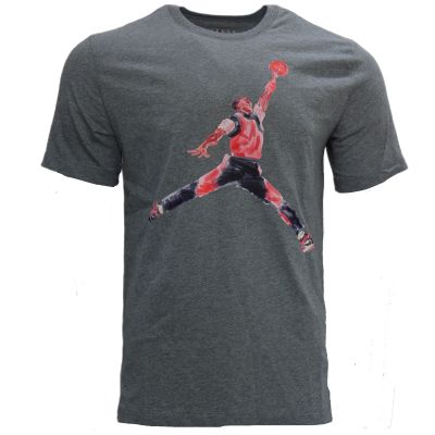 Air Jordan Brand Graphic T-shirt Men's Gray - FN5980-091