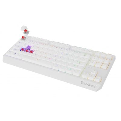 14. GENESIS Thor 230 TKL Keyboard Gaming USB + RF Wireless + Bluetooth QWERTY US English White