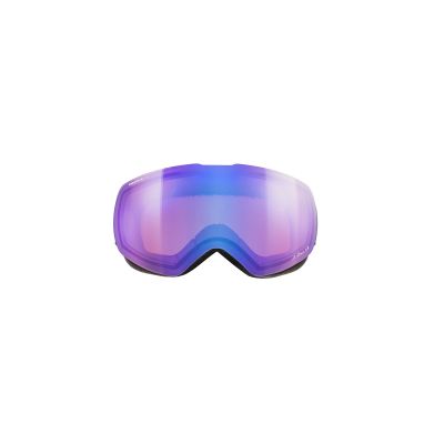 3. Julbo Shadow Ski Goggles Black