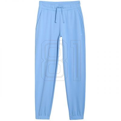 8. Trousers 4F CAS F1138 W 4FWMM00TTROF1138 32S