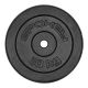 2. Cast iron weight 10kg Spokey Sinis H SPK-944485