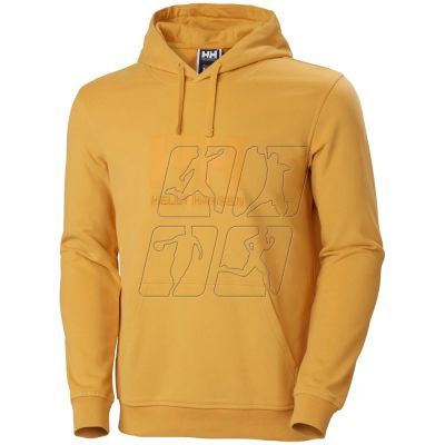 Helly Hansen Logo Hoodie M 33977-364