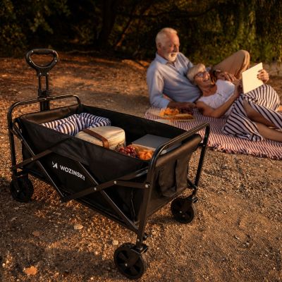 16. Wozinsky WZP-80 beach, tourist, garden, durable, wide wheels, up to 80 kg - black