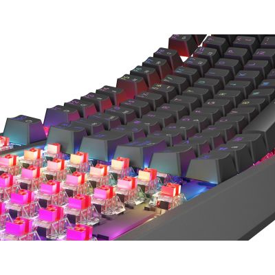 7. GENESIS Thor 230 TKL Gaming Keyboard USB QWERTY Spanish Black