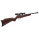 4. BEEMAN 1153 QT QUIET TEK GAS RAM air rifle cal. 5.5mm Ekp