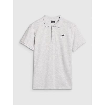 6. Men's regular polo shirt 4F 4FWMM00TPTSM366-27M