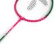 4. SMJ Badminton Set /2 Rackets + 3 Shuttlecocks/ TL020
