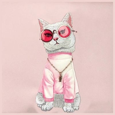 3. Nimmy Crossbody Glasses Cool Cat Shoulder Bag - Pink