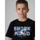 3. Boy's cotton T-shirt 4F 4FJRSS26TTSHM3902-20S