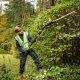 15. Hedge Trimmer 65cm, 54V DCMPH566N DEWALT