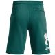 6. Under Armor Rival Fleece Big Logo Shorts M 1357118 722