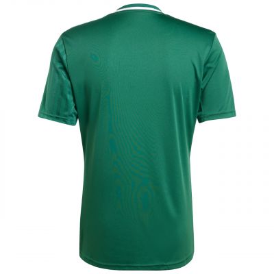 3. Men's adidas Campeon 25 Jersey green JF6063