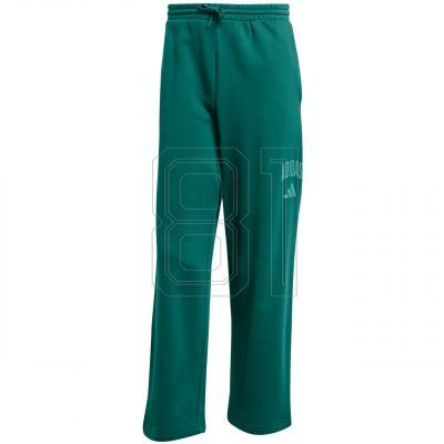 Adidas Collegiate M JM9178 Pants
