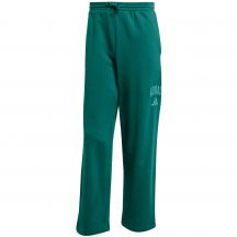 Adidas Collegiate M JM9178 Pants